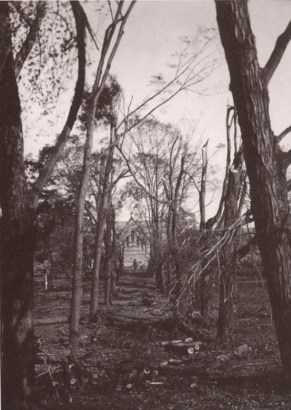 A historical picture of Amherst campus destroyed by a hurricane in 1938